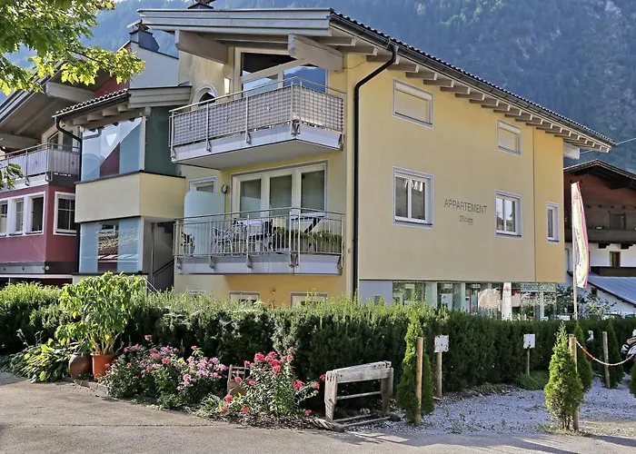 Alpen Moigg Daire Mayrhofen